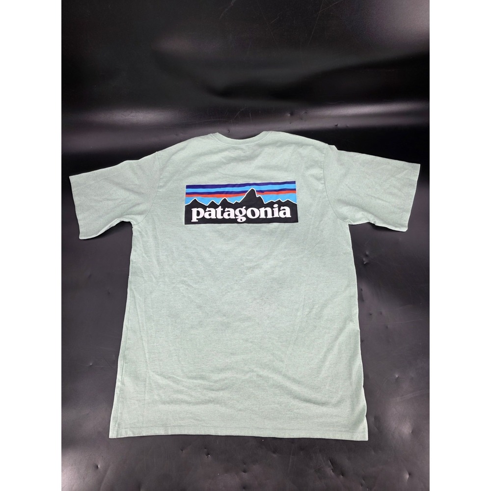 Patagonia Shirt Men's Medium Mint Green Crew Neck Responsibili-Tee Regular Fit